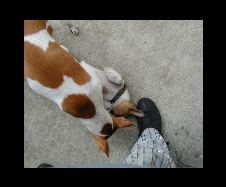 Enlarge photo 18