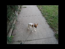 Enlarge photo 3