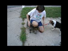 Enlarge photo 7