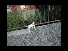 Enlarge photo 12