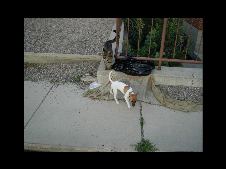 Enlarge photo 14