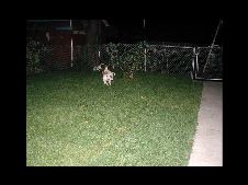 Enlarge photo 13