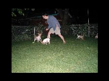 Enlarge photo 15
