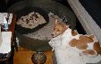 Enlarge photo 26
