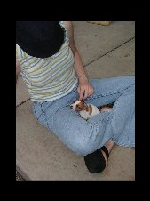 Enlarge photo 24
