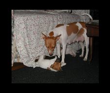 Enlarge photo 12
