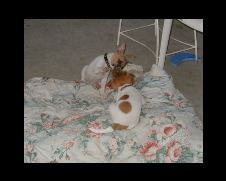 Enlarge photo 5
