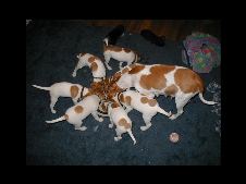 Enlarge photo 16