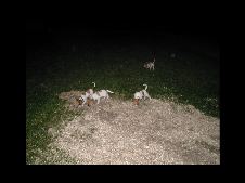 Enlarge photo 25