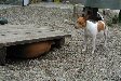 Enlarge photo 28
