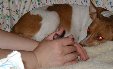 Enlarge photo 6