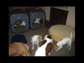 Enlarge photo 17