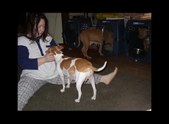 Enlarge photo 13