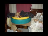 Enlarge photo 23