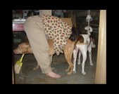Enlarge photo 2