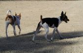 Enlarge photo 12