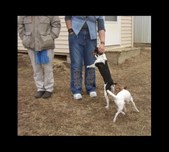 Enlarge photo 23