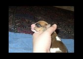 Enlarge photo 14