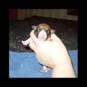Enlarge photo 1