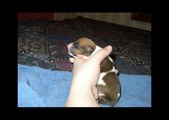 Enlarge photo 2