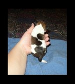 Enlarge photo 6
