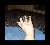 Enlarge photo 19