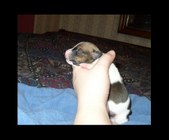 Enlarge photo 20