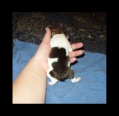Enlarge photo 21