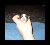 Enlarge photo 16