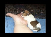 Enlarge photo 17