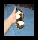 Enlarge photo 18