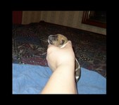 Enlarge photo 11