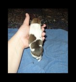 Enlarge photo 12