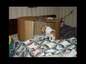 Enlarge photo 23
