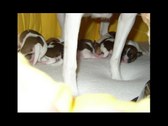 Enlarge photo 27