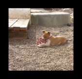 Enlarge photo 24
