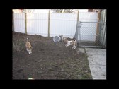 Enlarge photo 13
