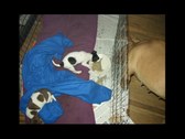Enlarge photo 3