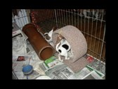 Enlarge photo 12