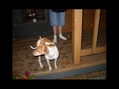 Enlarge photo 16