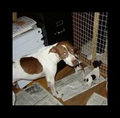 Enlarge photo 7