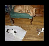 Enlarge photo 12