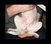 Enlarge photo 16
