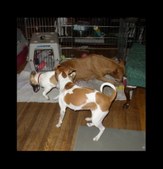 Enlarge photo 19