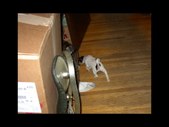Enlarge photo 22