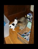 Enlarge photo 23