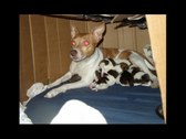 Enlarge photo 9