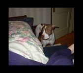 Enlarge photo 13