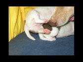 Enlarge photo 14