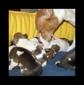 Enlarge photo 15